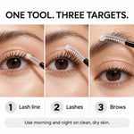 Cellovia lash and brow serum applicator showing application on lash line, lashes, and eyebrows in three steps.